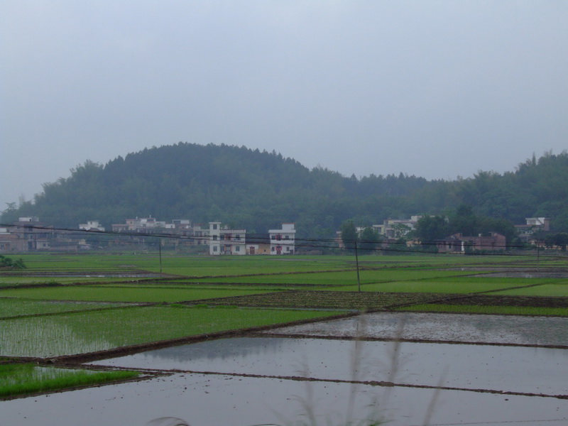 DSCF2853.JPG