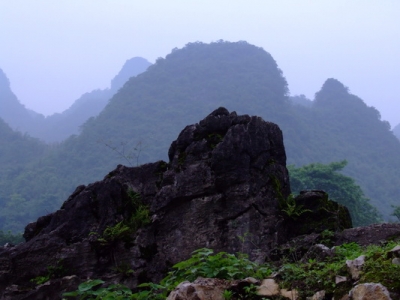 DSCF2791.JPG