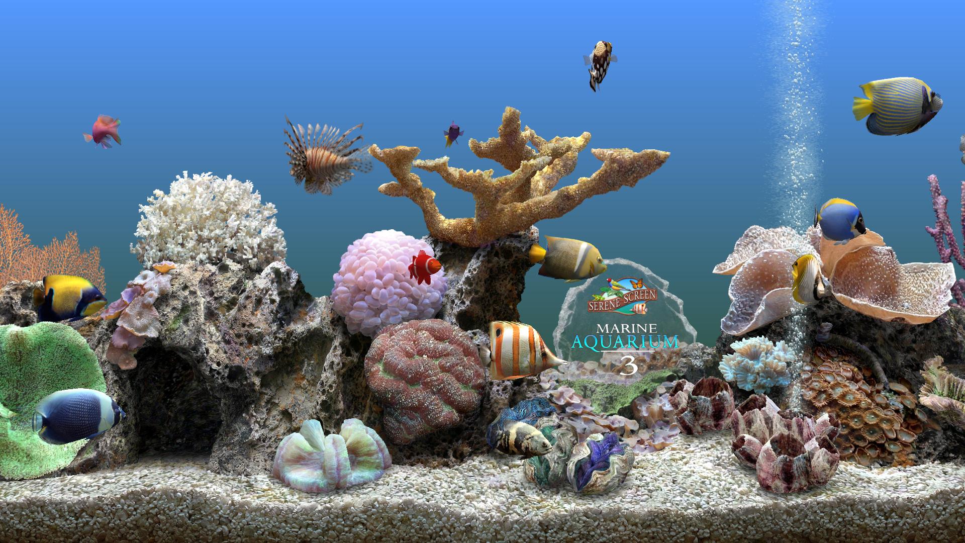 鱼水族屏保3.JPG