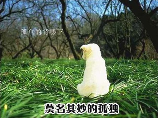 ③.jpg