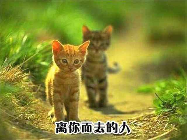 ⑧.jpg