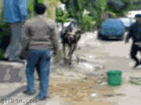 4542414_1279284994603_1024x1024.gif