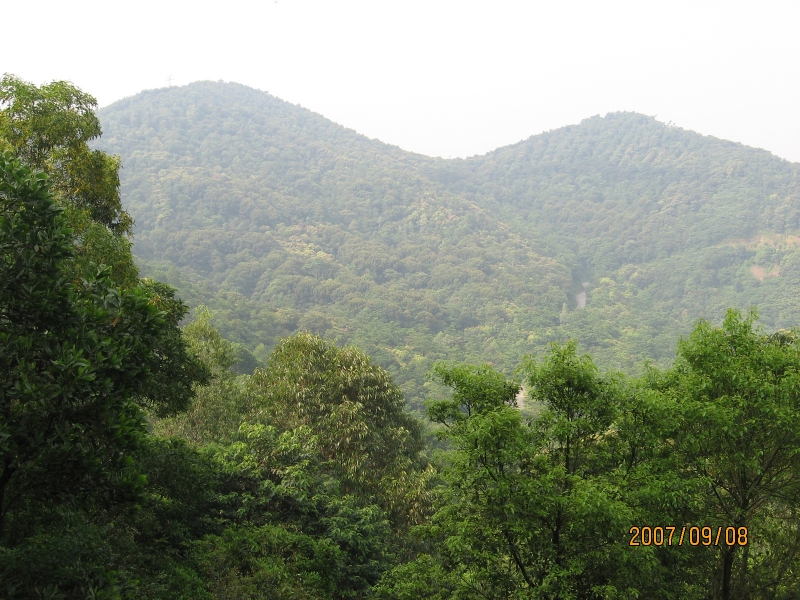 IMG_1226.JPG