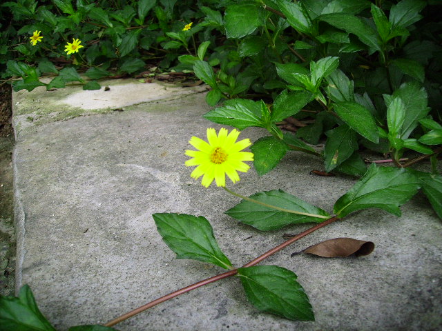 PICT0020.JPG