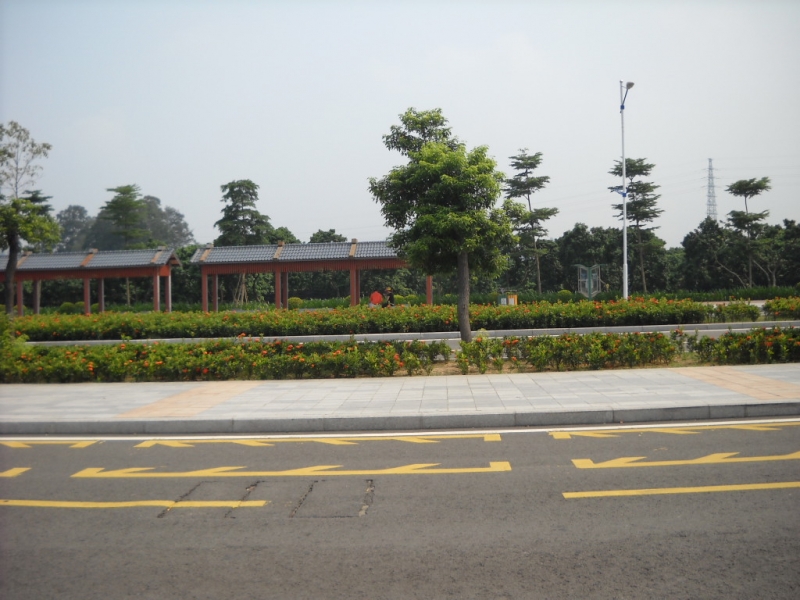 DSCN0331.JPG