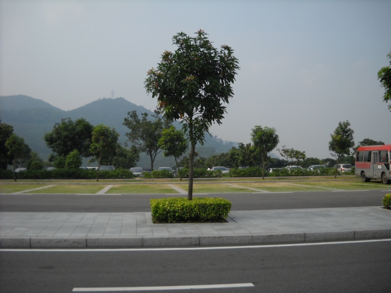 DSCN0334.JPG