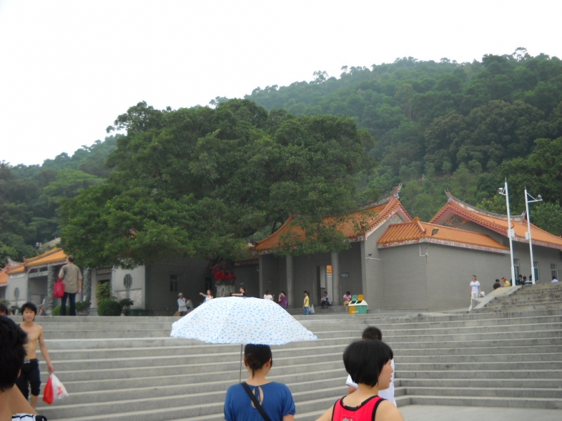 DSCN0350.JPG