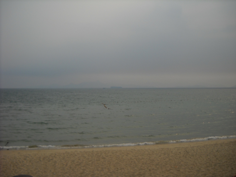 DSCN0240.JPG
