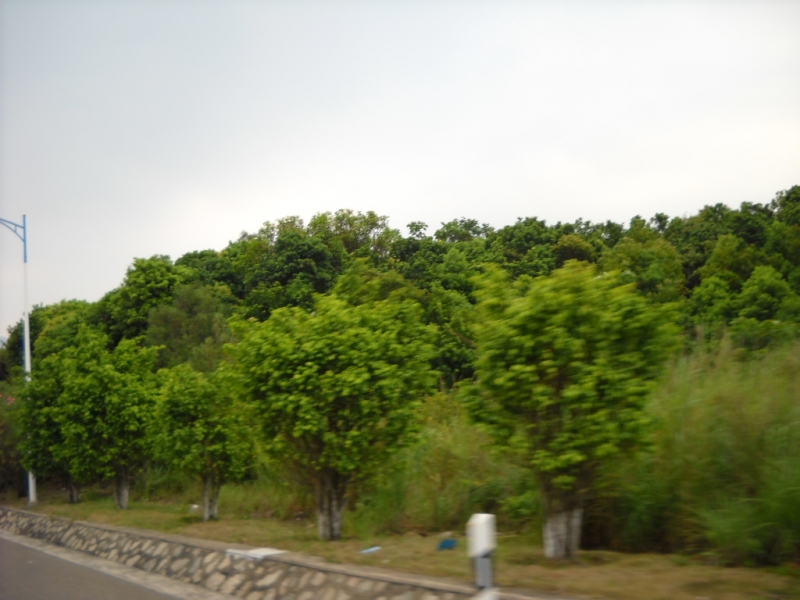 DSCN0254.JPG