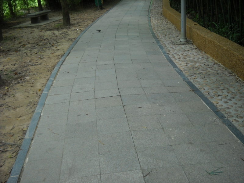 DSCN4624.JPG