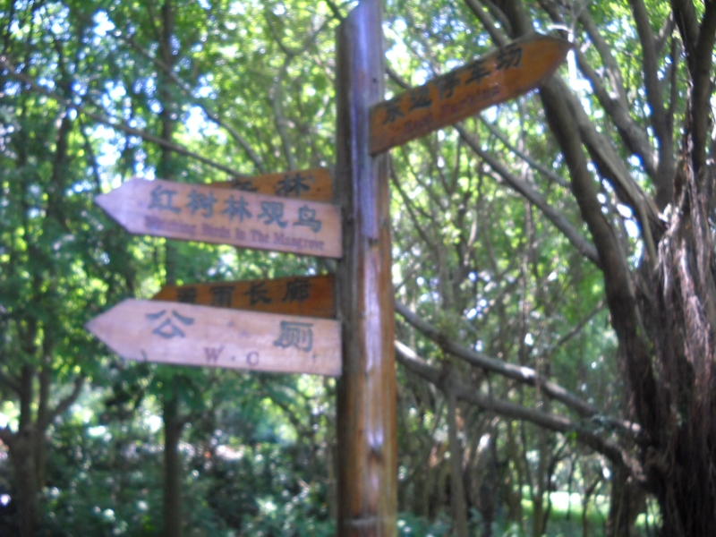 DSCN4463.JPG