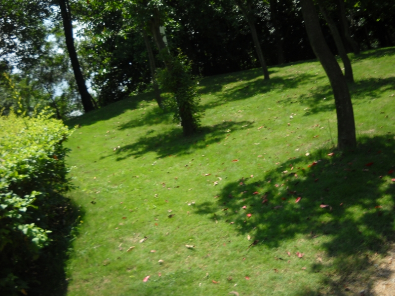 DSCN4464.JPG