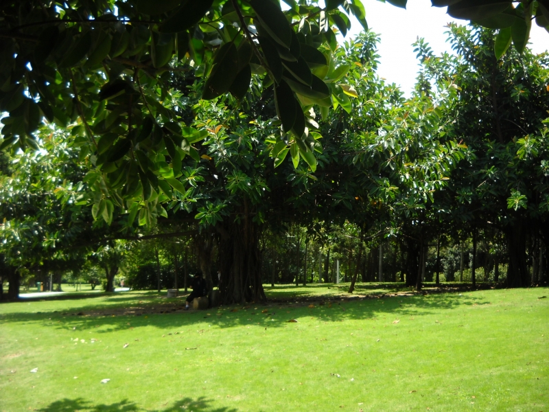 DSCN4465.JPG