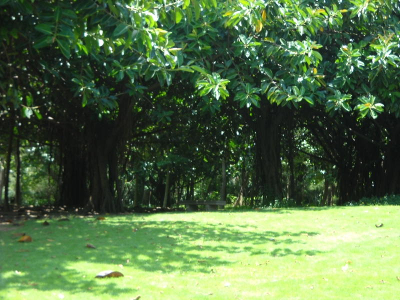 DSCN4467.JPG