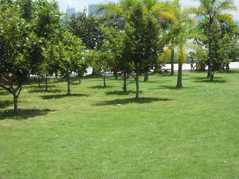 DSCN4468.JPG
