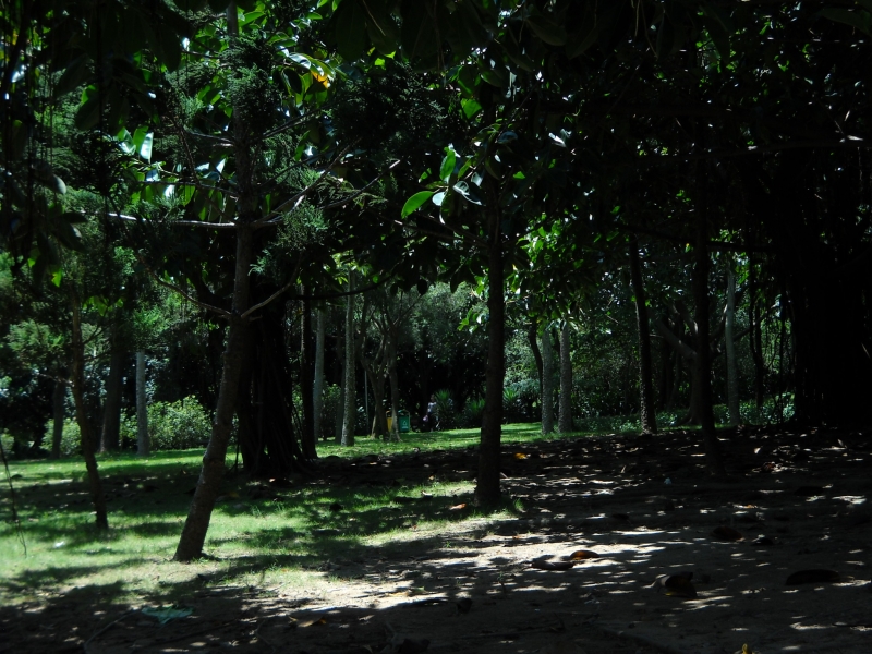DSCN4472.JPG