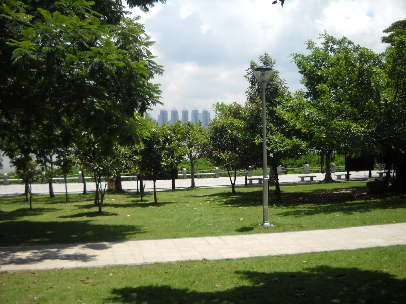 DSCN4487.JPG