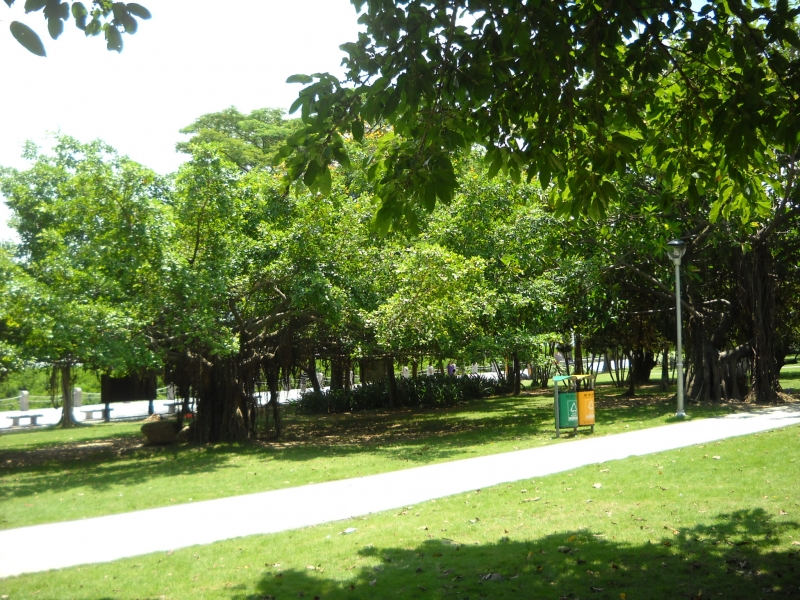 DSCN4488.JPG