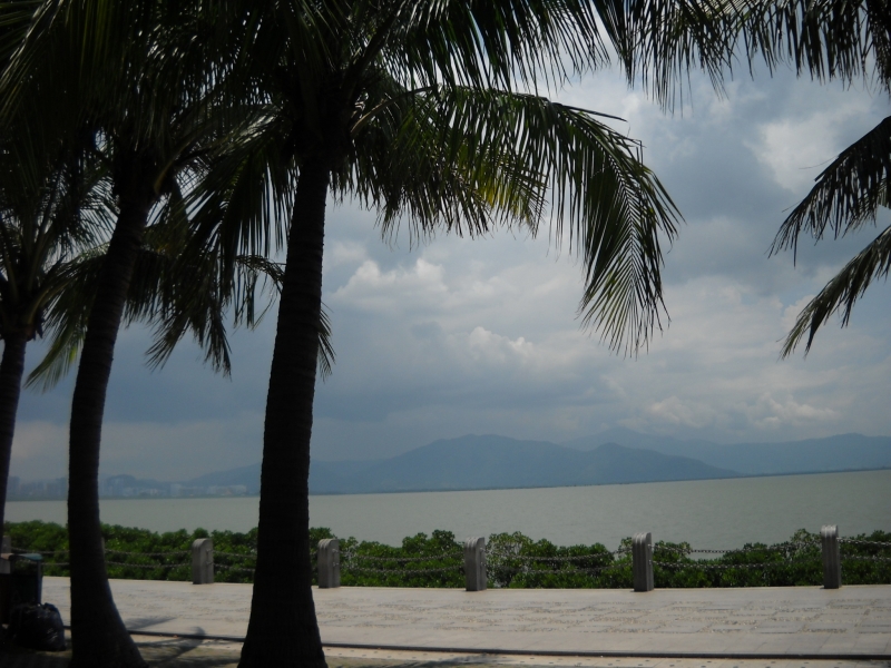 DSCN4489.JPG