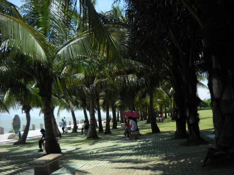 DSCN4497.JPG