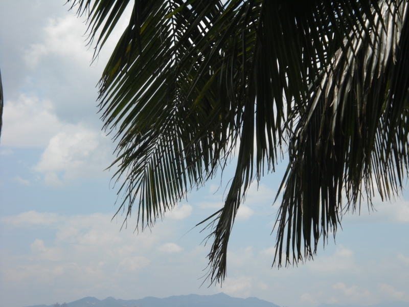 DSCN4519.JPG