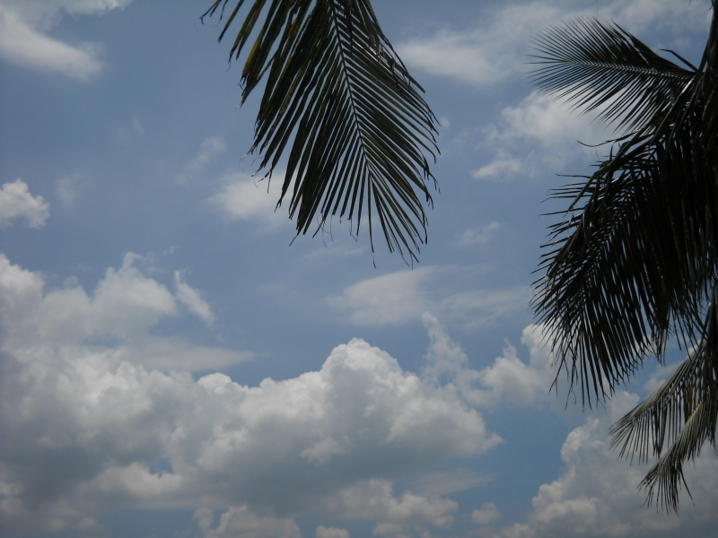 DSCN4525.JPG