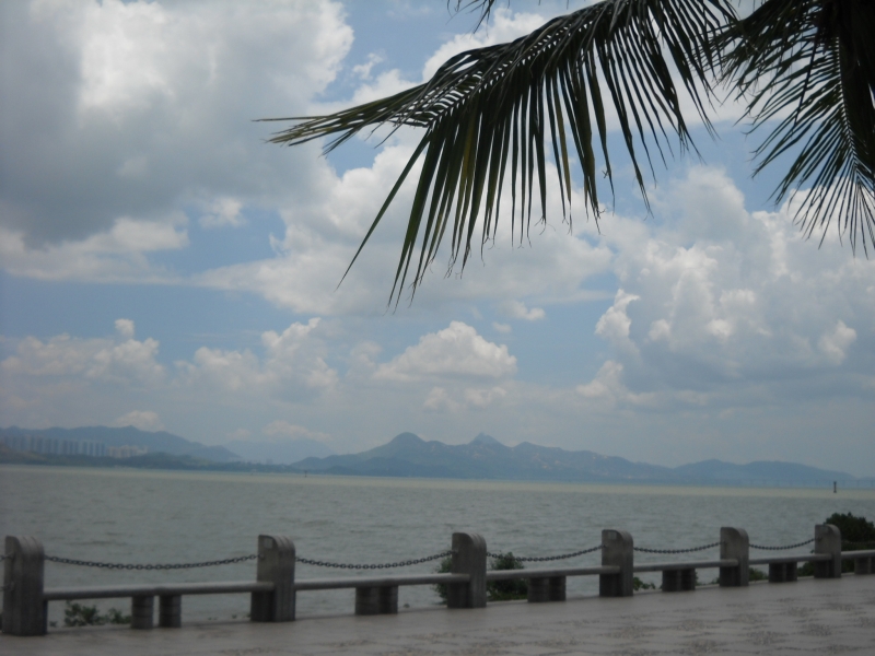 DSCN4541.JPG