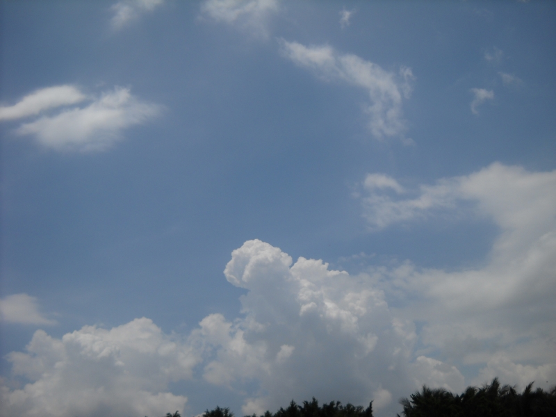 DSCN4567.JPG