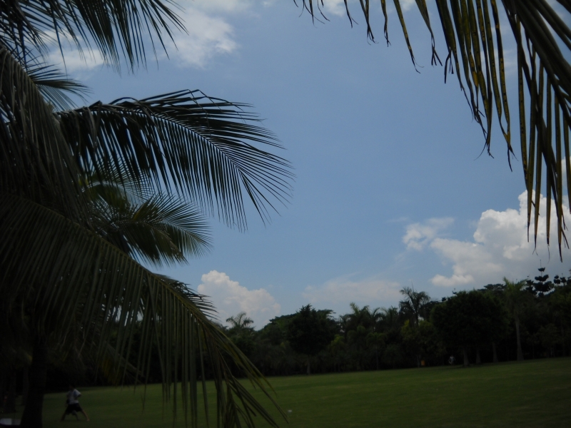 DSCN4568.JPG