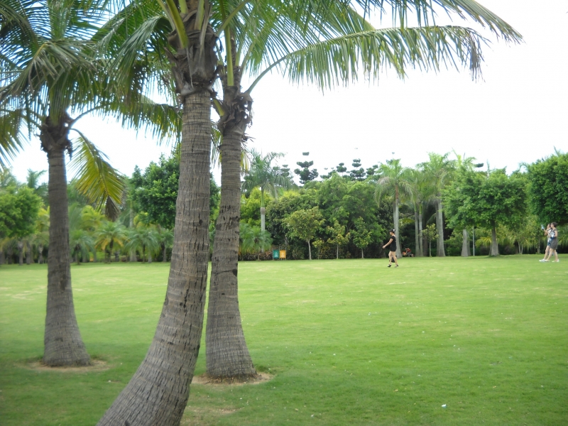 DSCN4574.JPG
