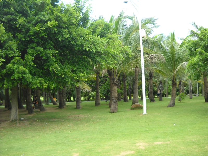 DSCN4579.JPG