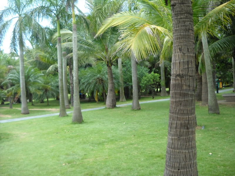 DSCN4582.JPG