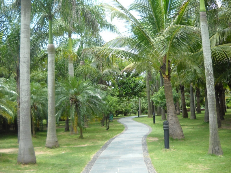 DSCN4585.JPG
