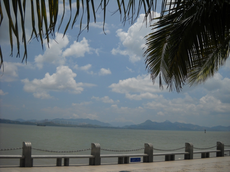 DSCN4587.JPG