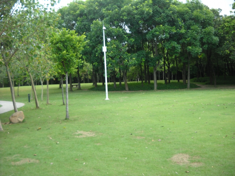DSCN4593.JPG