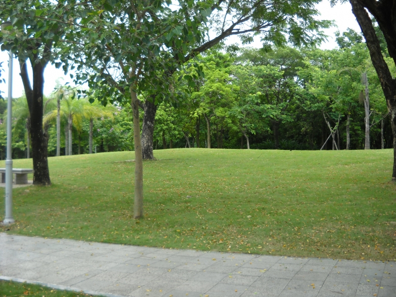 DSCN4598.JPG