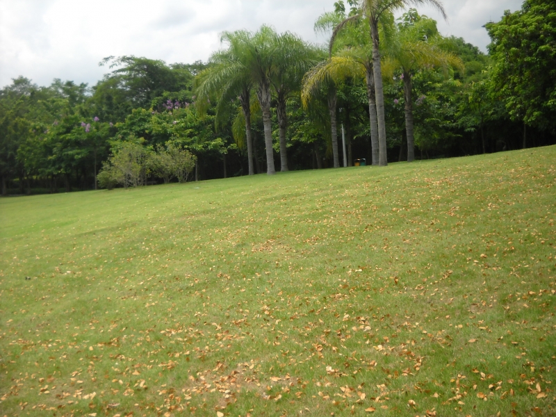 DSCN4602.JPG