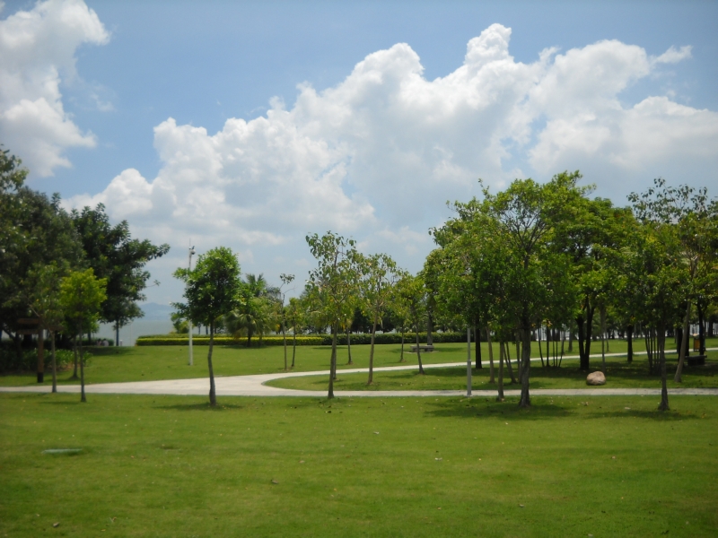 DSCN4606.JPG
