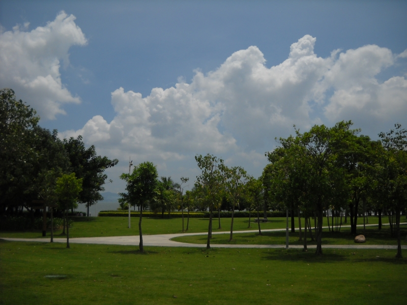 DSCN4607.JPG