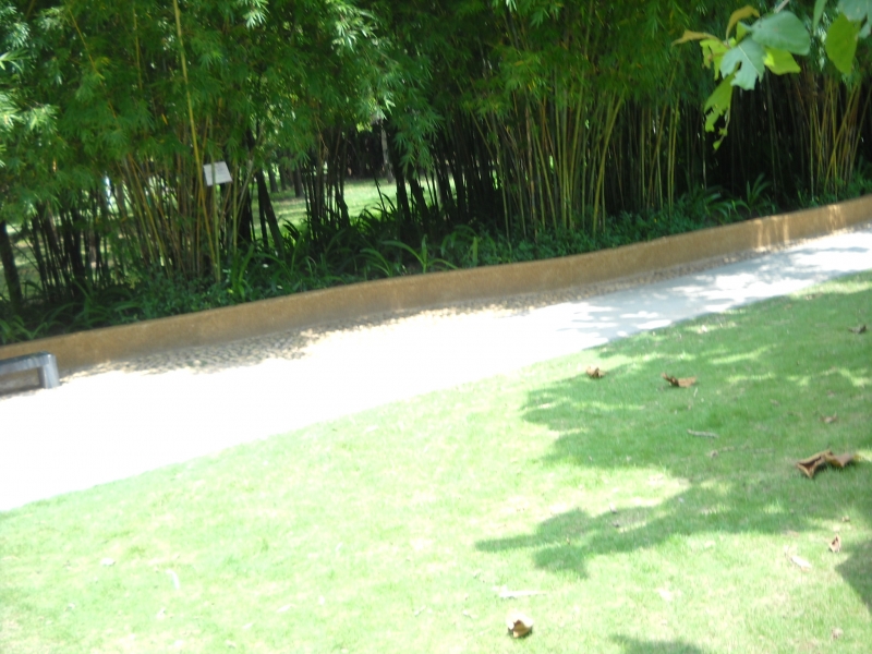 DSCN4608.JPG