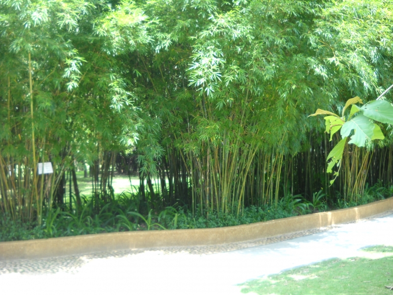 DSCN4609.JPG