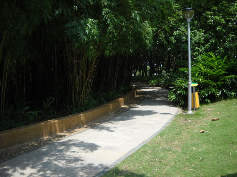 DSCN4610.JPG