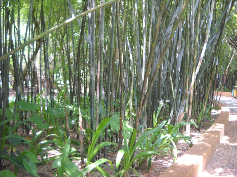DSCN4611.JPG