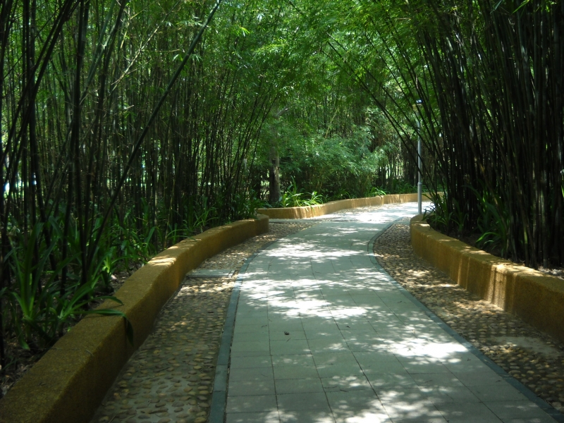 DSCN4620.JPG