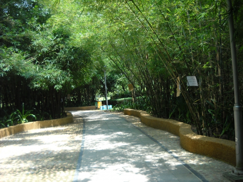 DSCN4622.JPG