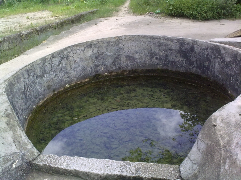 20100812037.jpg