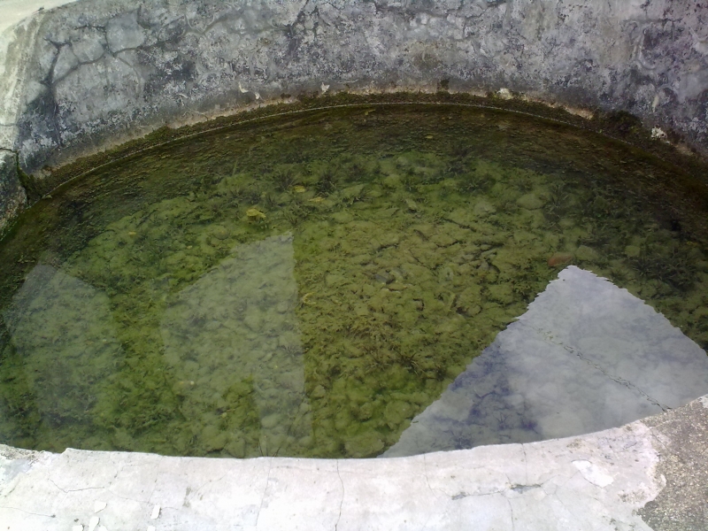 20100812038.jpg
