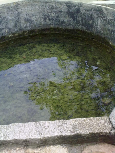 20100812039.jpg