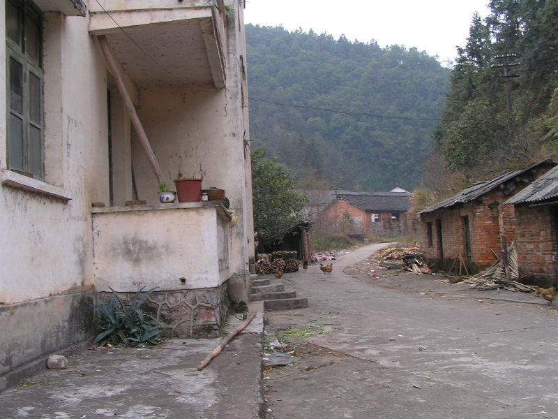 P1160007.JPG
