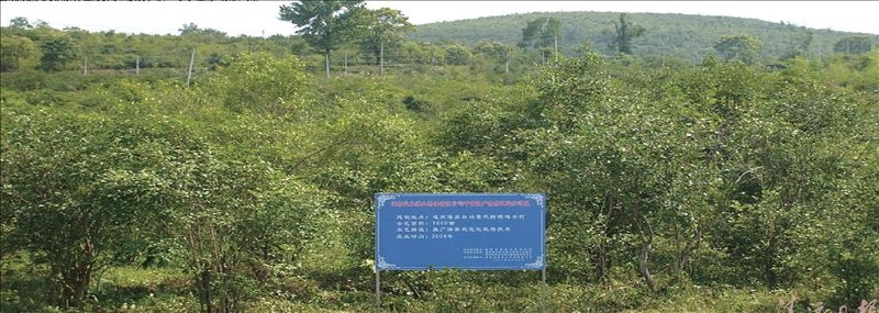 60.jpg